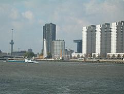 Les magnifiques buildings de Rotterdam